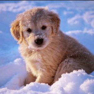 Meet your Posher, Cassy